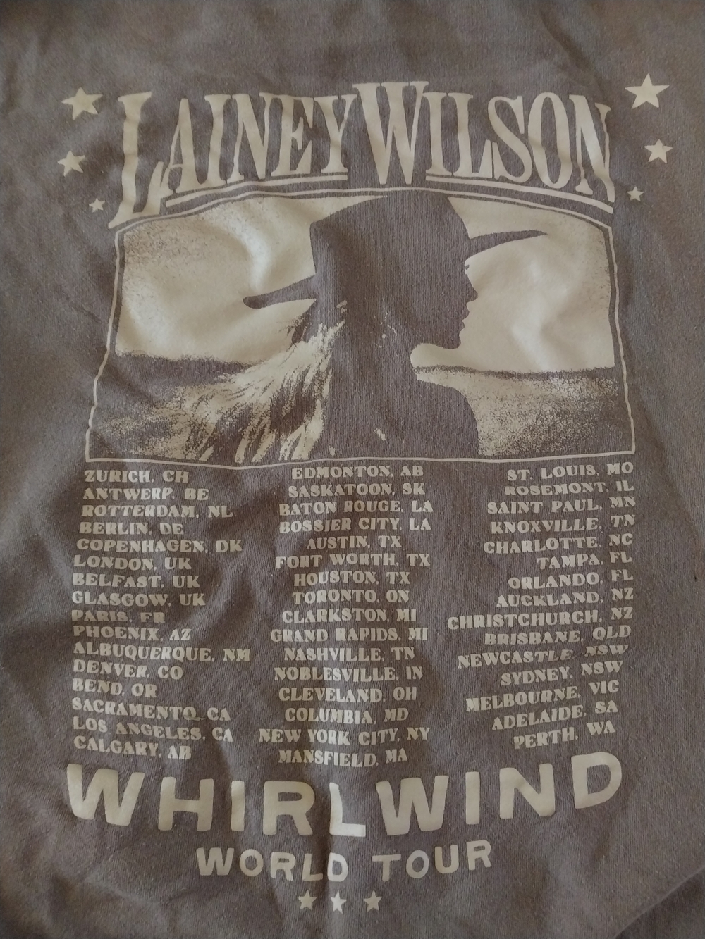 Lainey Wilson Whirlwind World Tour Graphic Hoodie - Dusty Mauve - Picture 3 of 5